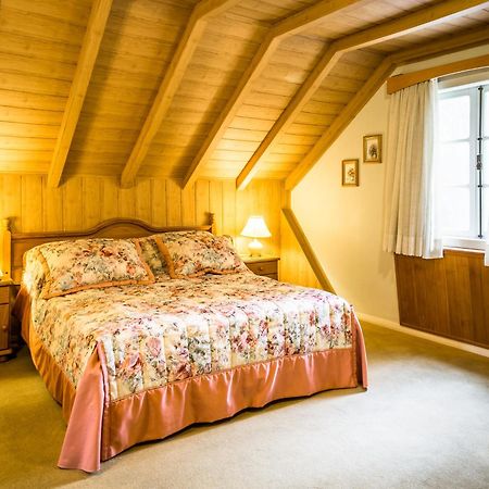 Hotel Stelter São Bento do Sul Kültér fotó